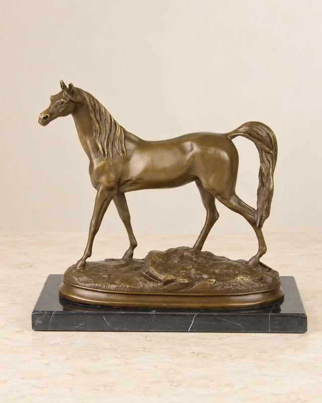 Arabian Horse