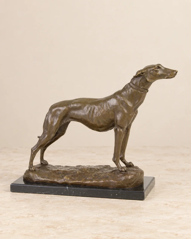Greyhound