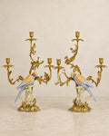 Pair of Porcelain Parrot Candelabra