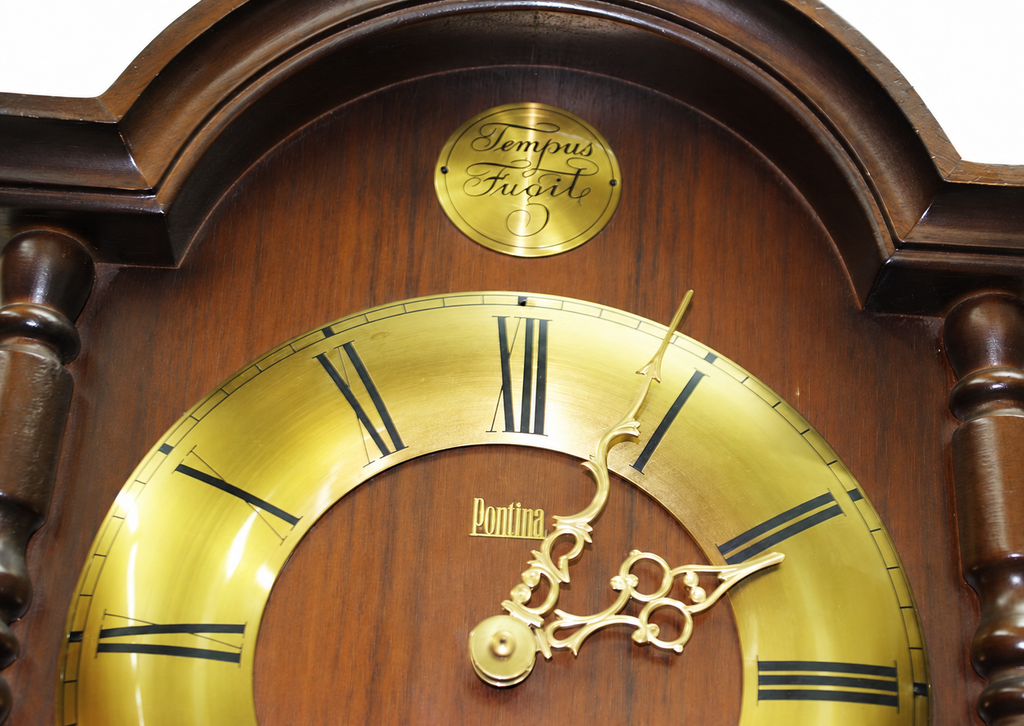 Pontina Wooden Wall Clock with Tempus Fugit Dial — detail view 3