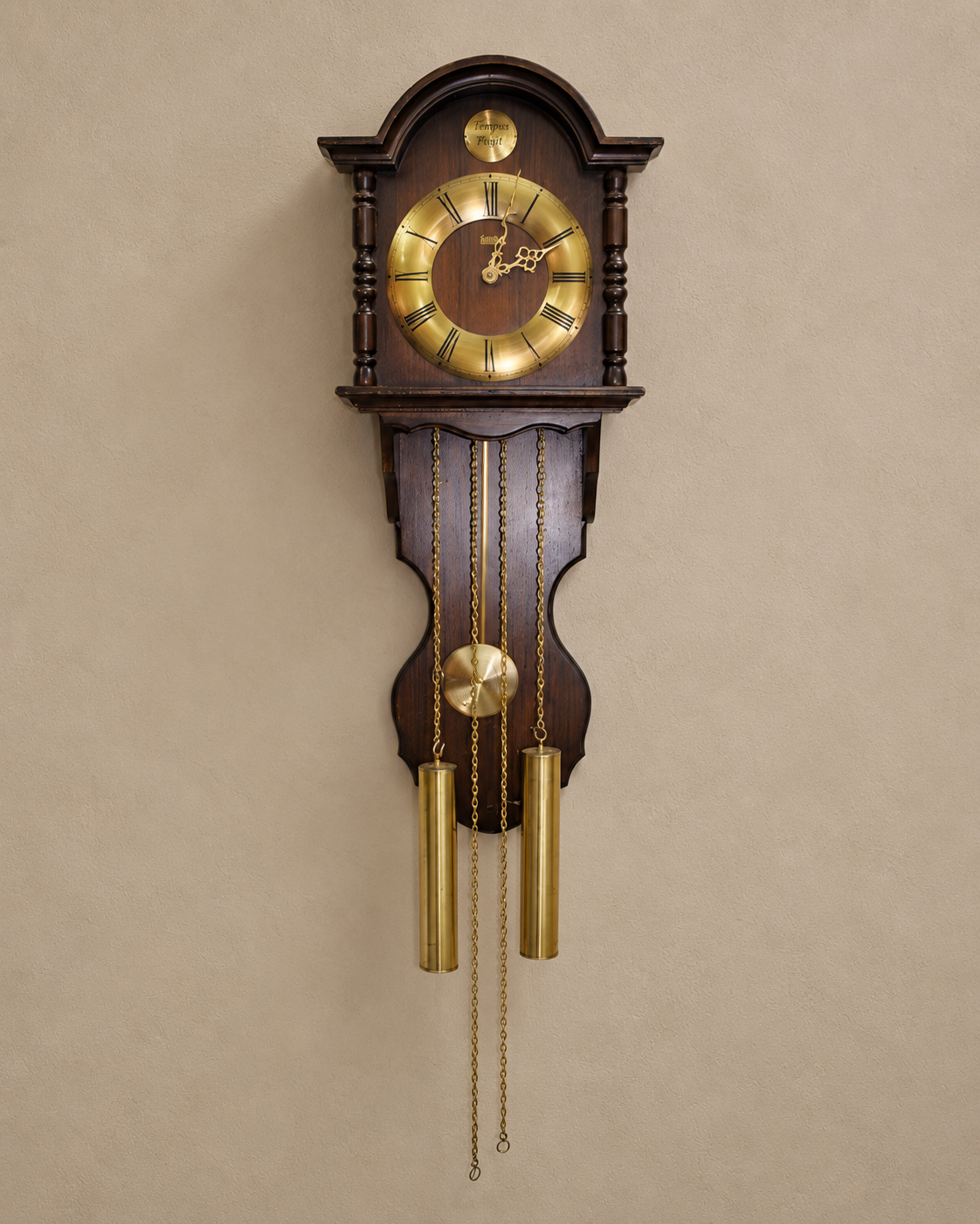 Pontina Wooden Wall Clock with Tempus Fugit Dial — main view