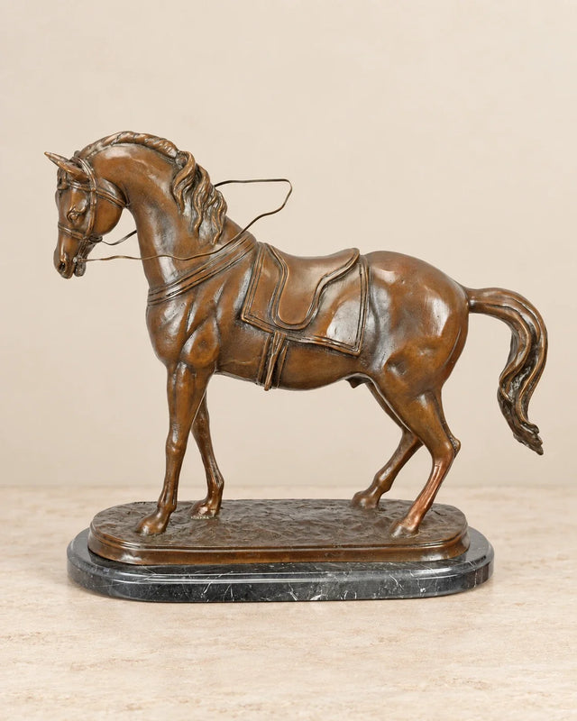 Saddled Horse