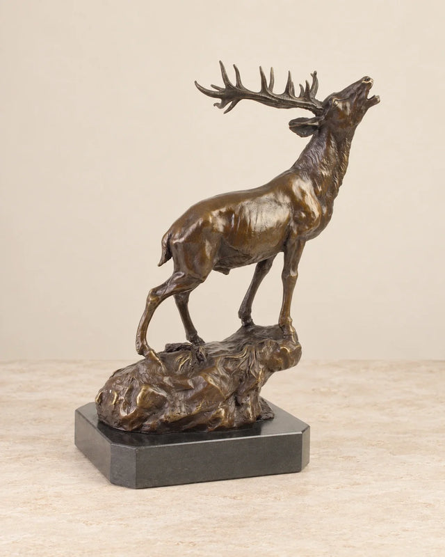 Stag on a Rock
