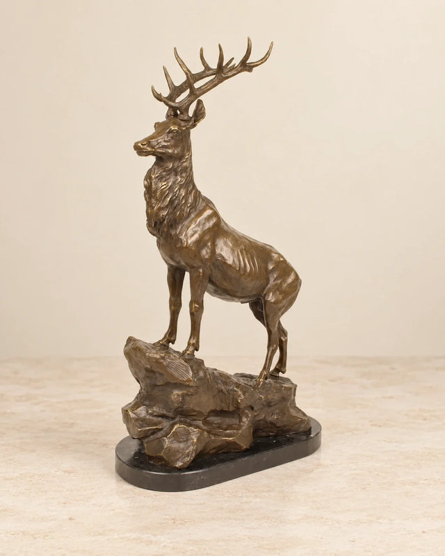 Stag on a Rock